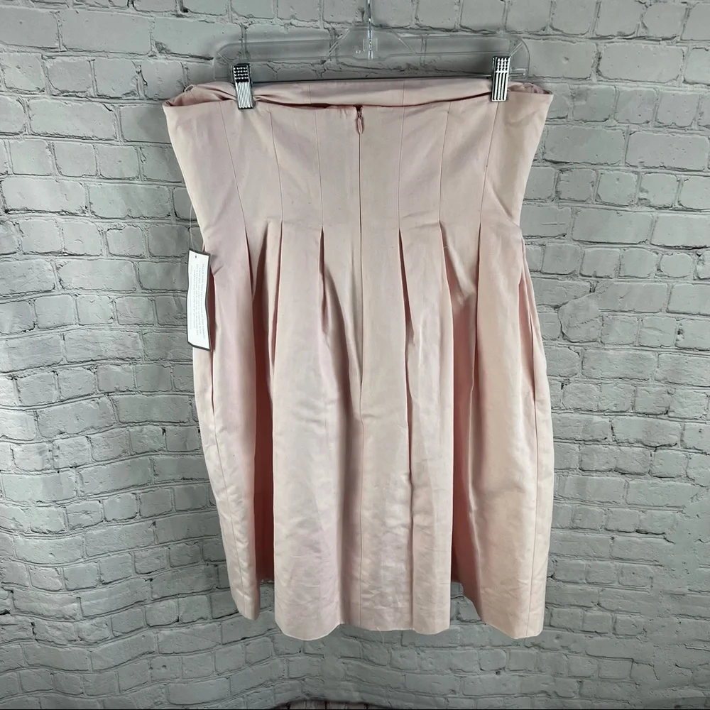 J CREW NWT Pink Stripe Strapless Dress